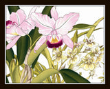 Tropical Woodblock Orchids Botanical Print No.2 - Giclee Print